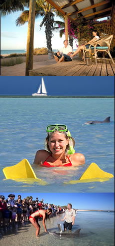 Monkey Mia Dolphin Resort - Schoolies Week Accommodation 0