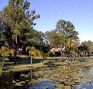 Twin Lakes Hotel - Schoolies Week Accommodation