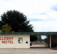 Millicent Motel - Schoolies Week Accommodation