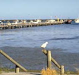 Seaview Motel and Holiday Units - Schoolies Week Accommodation