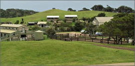 Ace Hi Riding Ranch - Schoolies Week Accommodation 0
