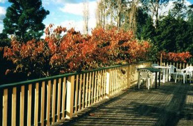 Heronswood House - Schoolies Week Accommodation 5