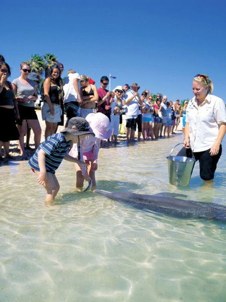 Monkey Mia Dolphin Resort - Schoolies Week Accommodation 1