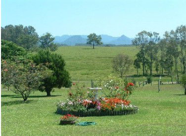Tallowood Ridge Farmstay B - Schoolies Week Accommodation 3