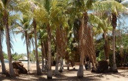 King Sound Resort Hotel - Schoolies Week Accommodation
