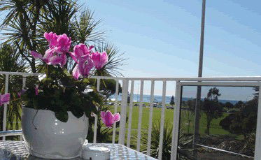 Beach Park Motor Inn - Schoolies Week Accommodation 3
