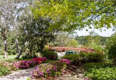 Bilpin Resort - Schoolies Week Accommodation 2