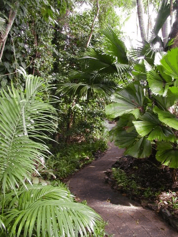 Rainforest Grove Holiday Resort - Schoolies Week Accommodation 1