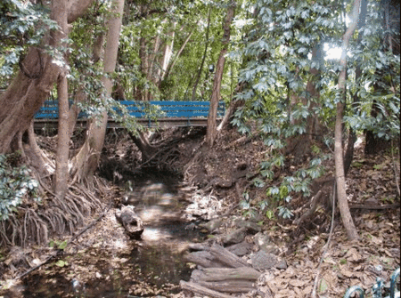 Rainforest Grove Holiday Resort - Schoolies Week Accommodation 3