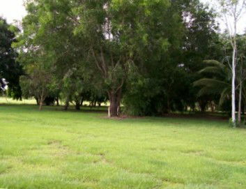 Daly River Mango Farm - Schoolies Week Accommodation 1
