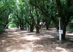 Daly River Mango Farm - Schoolies Week Accommodation 4