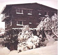 Elk at Falls - Schoolies Week Accommodation