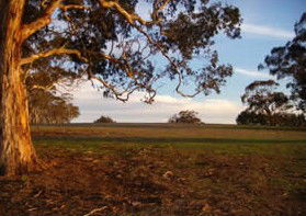 Mirrabooka Bed And Breakfast - Schoolies Week Accommodation 1