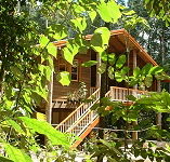 Rivers Edge Rainforest Retreat - Schoolies Week Accommodation