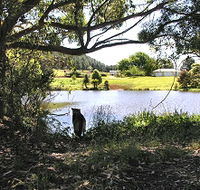 Newry Park Cottage - Schoolies Week Accommodation