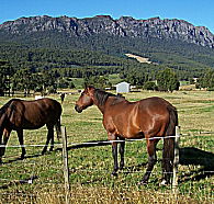 Hurlfield Farm Cottage - Schoolies Week Accommodation