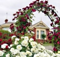 Golden Embers Apartments and B and B - Schoolies Week Accommodation