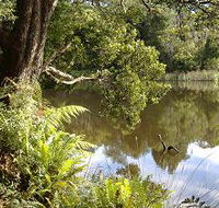 Weldborough Camping Ground - Schoolies Week Accommodation