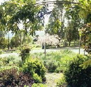 Cherry Park Estate - Schoolies Week Accommodation