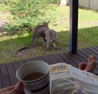 Bush and Bay Cottage - Schoolies Week Accommodation