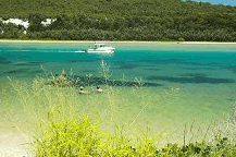 Wooli Camping and Caravan Park - Schoolies Week Accommodation