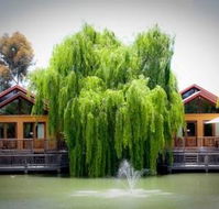 Perricoota Vines Retreat - Schoolies Week Accommodation