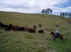 Camp Cobark - Schoolies Week Accommodation 2