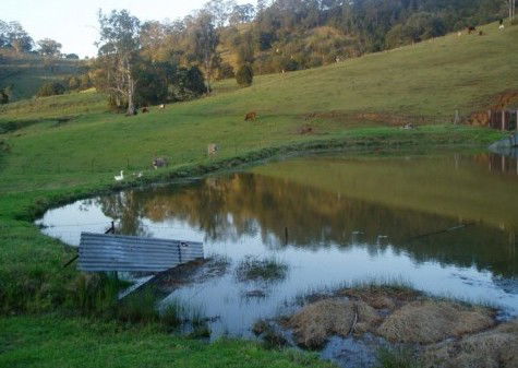  Schoolies Week Accommodation