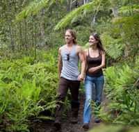 Blackheath Glen Tourist Park - Schoolies Week Accommodation