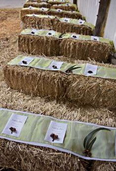 Bathurst Goldfields Accommodation - Schoolies Week Accommodation 0