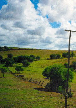 Mango Hill Cottages Bed And Breakfast - Schoolies Week Accommodation 2