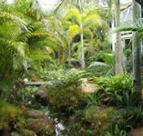 Chamomile Bed and Breakfast - Schoolies Week Accommodation