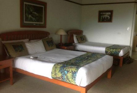 OReillys Rainforest Retreat - Schoolies Week Accommodation 5