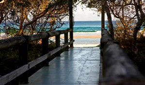 Anchorage Beachfront Island Resort - Schoolies Week Accommodation 4