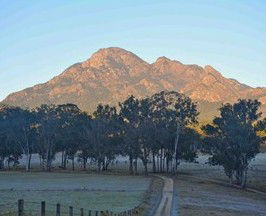 Barney Creek Vineyard Cottages - Schoolies Week Accommodation 5