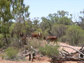 Aldville Station - Schoolies Week Accommodation 2