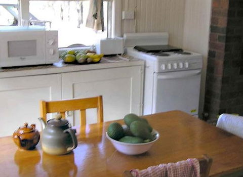 Myall Park Botanic Garden - Schoolies Week Accommodation 3