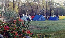 Possum Park - Schoolies Week Accommodation 1