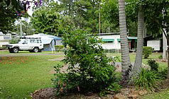 Lilyponds Holiday Park - Schoolies Week Accommodation 5