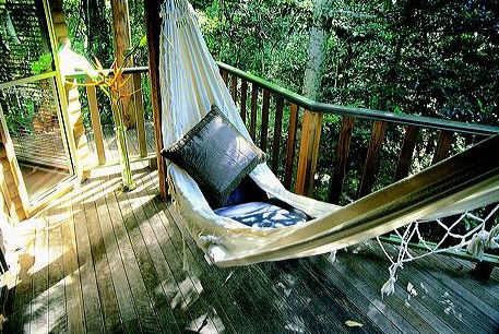Narrows Escape Rainforest Retreat - Schoolies Week Accommodation 0