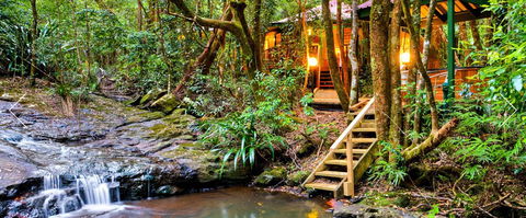 The Mouses House - Rainforest Retreat - Schoolies Week Accommodation 0