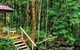 The Mouses House - Rainforest Retreat - thumb 3