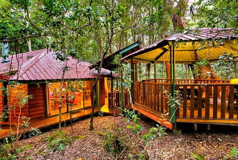 The Mouses House - Rainforest Retreat - Schoolies Week Accommodation 4