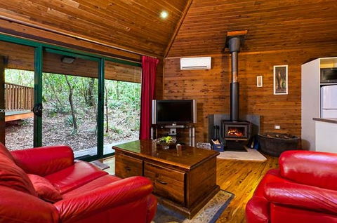 The Mouses House - Rainforest Retreat - Schoolies Week Accommodation 5