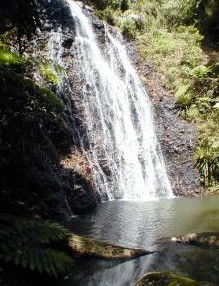 Binna Burra Mountain Lodge - Schoolies Week Accommodation 0