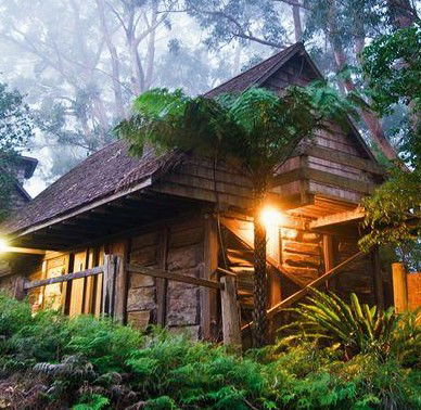 Binna Burra Mountain Lodge - Schoolies Week Accommodation 2