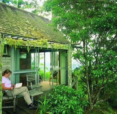 Binna Burra Mountain Lodge - Schoolies Week Accommodation 3