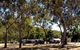 Barracrab Caravan Park - thumb 0