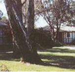 Winbi River Resort - Schoolies Week Accommodation