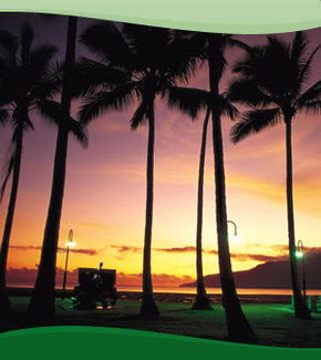 Bay Village Tropical Retreat, Cairns - Schoolies Week Accommodation 1